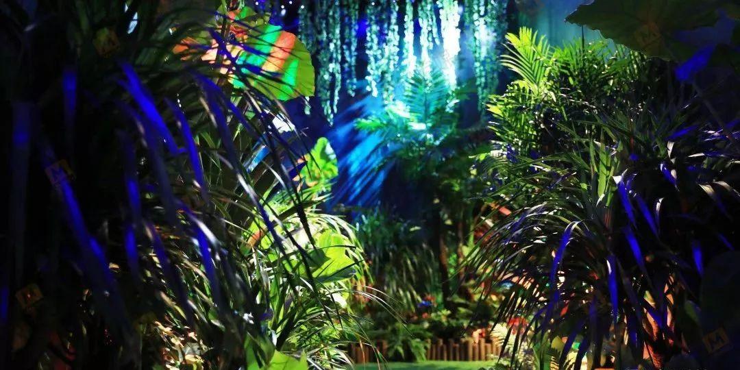 专项整治!毕节公布举报电话